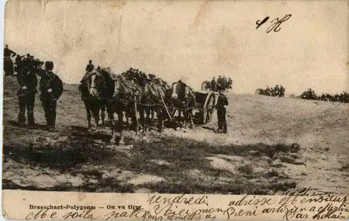 Brasschaet Polygone -183982