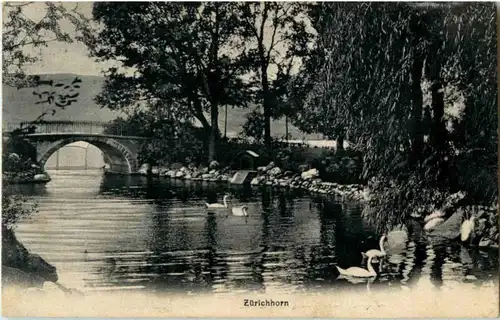 Zürichhorn -188142