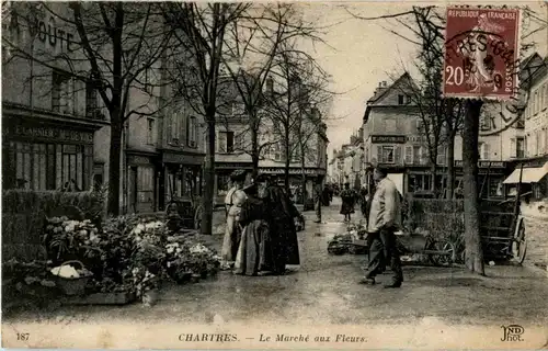 Chartres - Le Marche aux Fleurs -11714