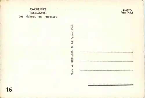 Cachemire - Tandmarg -184570