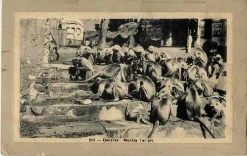 Benares - Monkey Temple -184352
