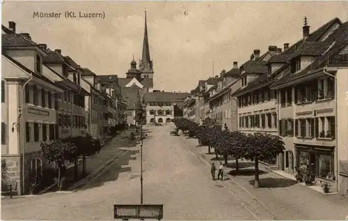 Münster - Luzern -153462