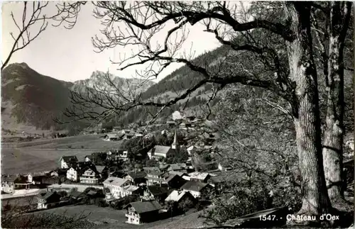 Chateau d Oex -184128