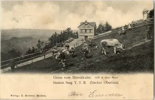 Gruss vom Hörnlikulm -187854