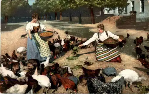 Hühner - Vögel -184232