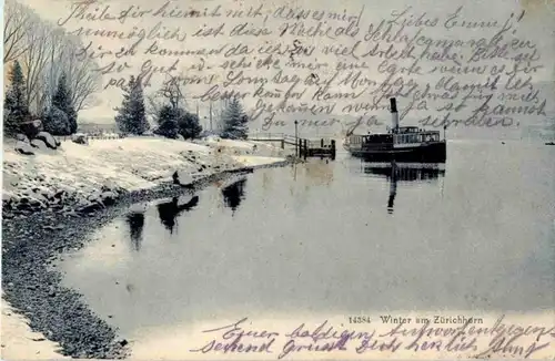 Winter am Zürichhorn -188134