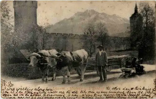 Luzern - Musegg und Pilatus -193628