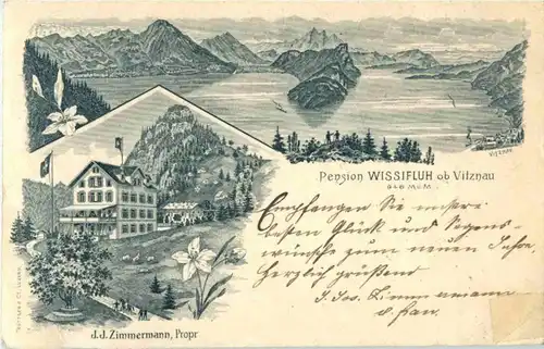 Vitznau - Pension Wissifluh -194872