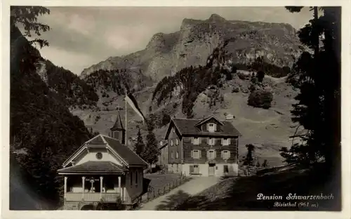 Bisisthal - Pension Schwarzenbach -193962