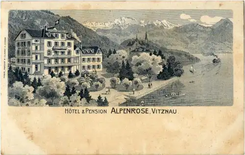 Vitznau - Hotel Alpenrose -194894