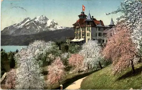 Weggis - Hotel Alpenblick -194984