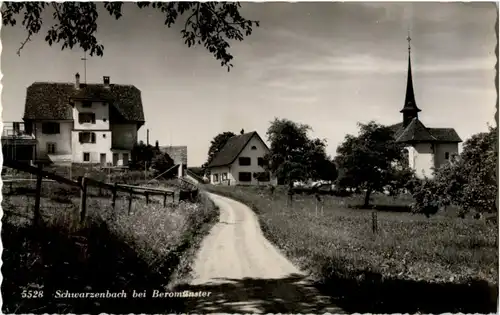 Schwarzenbach bei Beromünster -194126