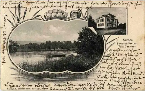 Sursee - Villa Cantenot -194252