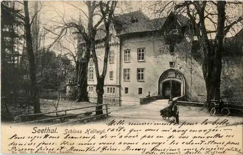 Seethal - Schloss Hallwyl -194554