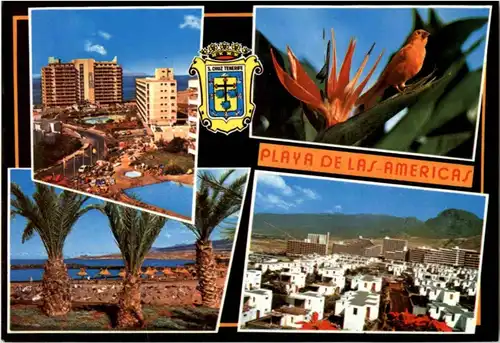 Playa de las Americas -196748