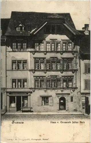Sursee - Haus v. Grossrath Julius Beck -194782