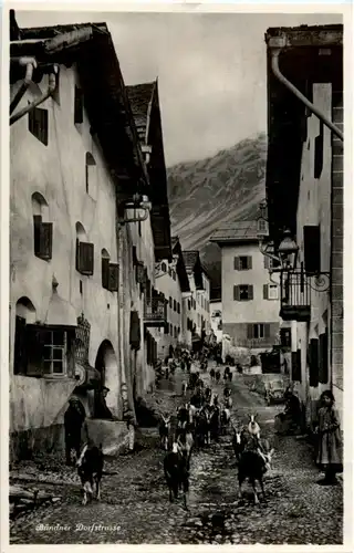 Pontresina - Ziegen -195832