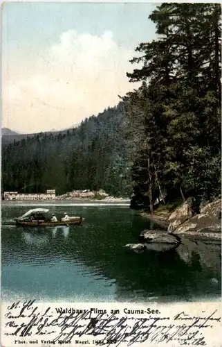 Waldhaus Flims -195730