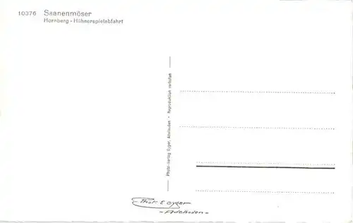 Saanenmöser - Hornberg - Hühnerspielabfahrt -197646