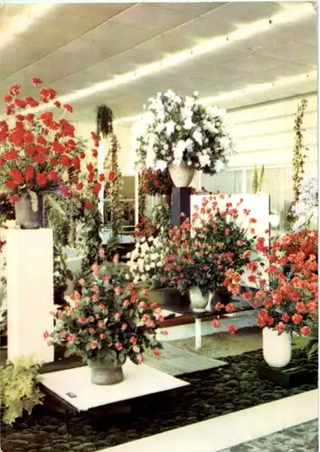Erfurt - Gartenbauausstellung -197502