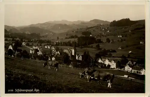 Schönengrund -197986