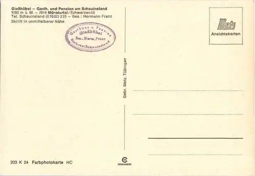 Münstertal - Giesshübel -196578