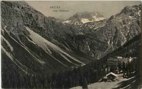 Arosa - Hotel Waldhaus -195300