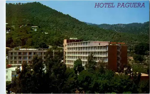 Paguera - Hotel Paguera -196742