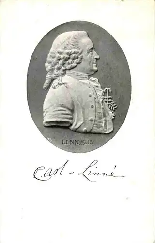 Carl v Linne -158672