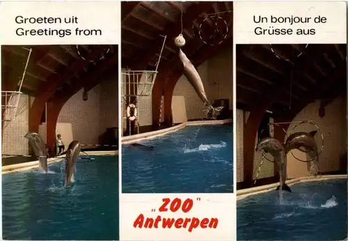 Antwerpen - Zoo -197608