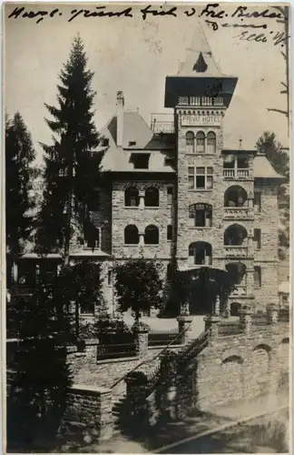 Flims - Hotel Waldhaus -195744