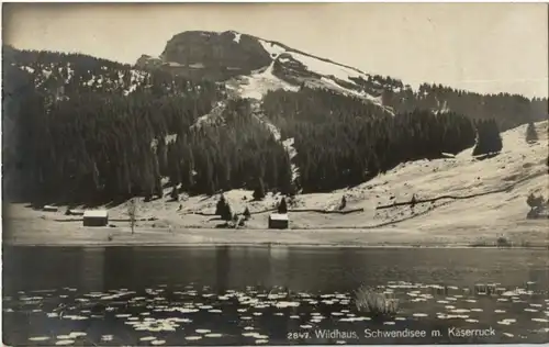 Wildhaus - Schwendisee -197762