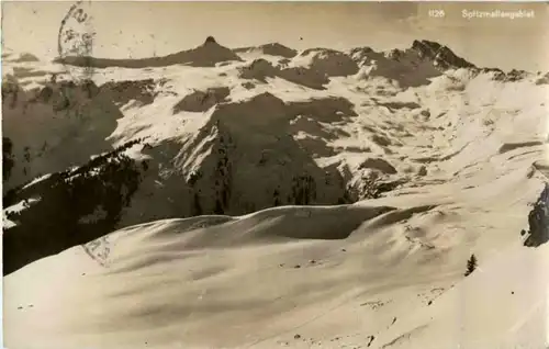 Spitzmeilengebiet -197638