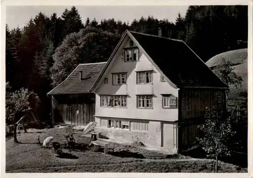 Walzenhausen - Ferienhaus Birkenfeld -197746