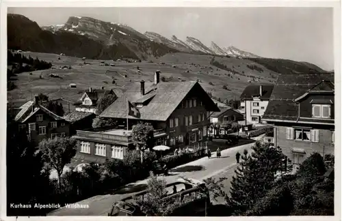 Wildhaus - Haus Alpenblick -198452