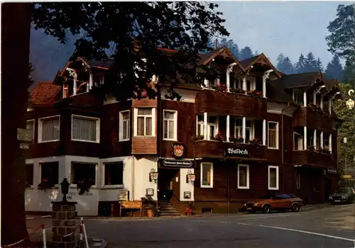 Todtmoos - Hotel Waldeck -196736