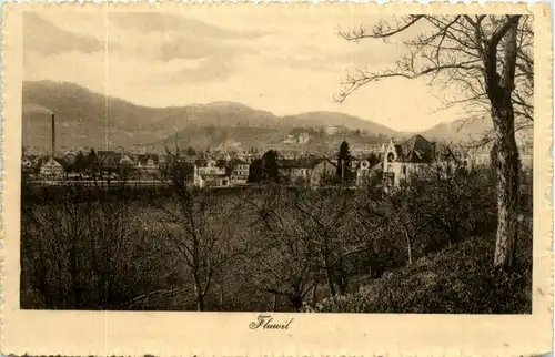 Flawil -198996