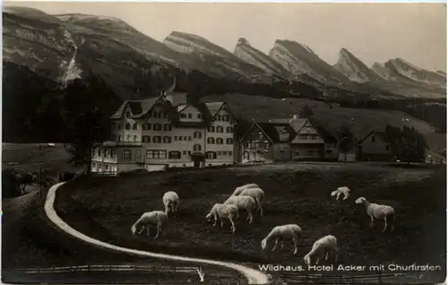 Wildhaus - Hotel Acker -198528