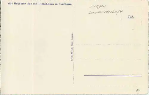 Hopschen See mit Ziegen - Goat -160550