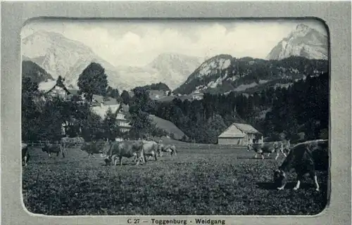 Toggenburg - Weidgang -198414