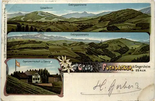 Gruss aus dem Fuchsacker bei Degersheim - Litho -198758