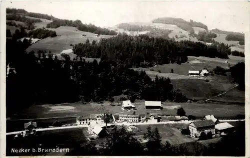 Necker bei Brunadern -198638