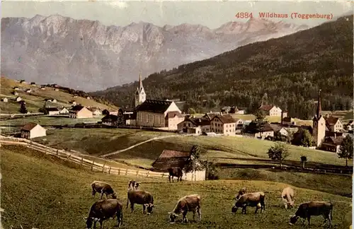 Wildhaus -198522