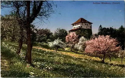 Schloss Mörsburg -190204