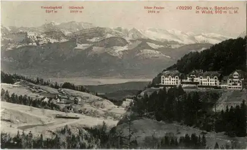 Gruss von Wald -190394