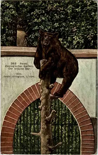 Basel - Zoo - Bär - bear -192128