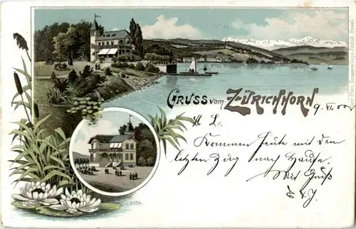 Gruss vom Zürichhorn - Litho -190602