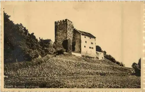 Schloss Habsburg -164984