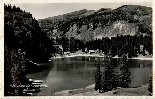 Lac de Chavonnes -N7381