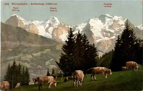 Mürrenbahn - Grütschalp -165308